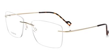 WQ RT-009